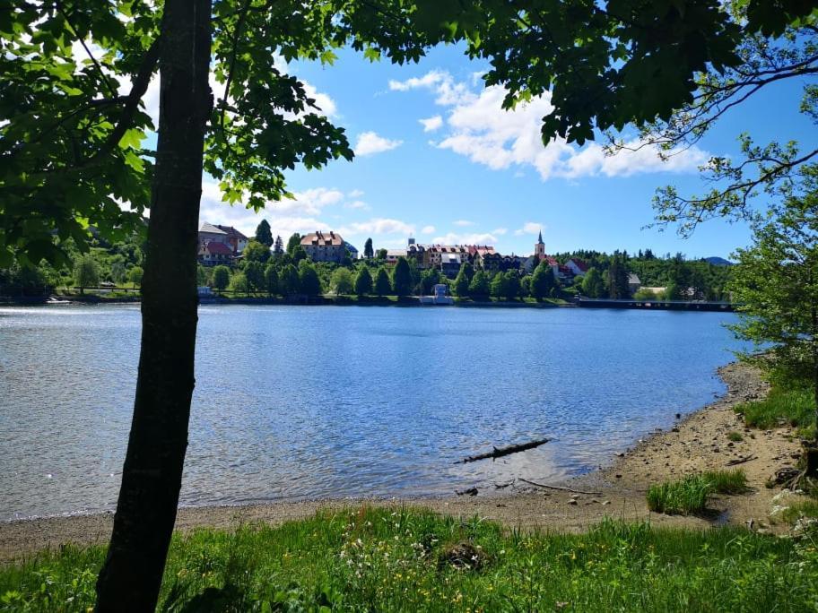 Fuzinarska Kuca Hotel Fužine Buitenkant foto